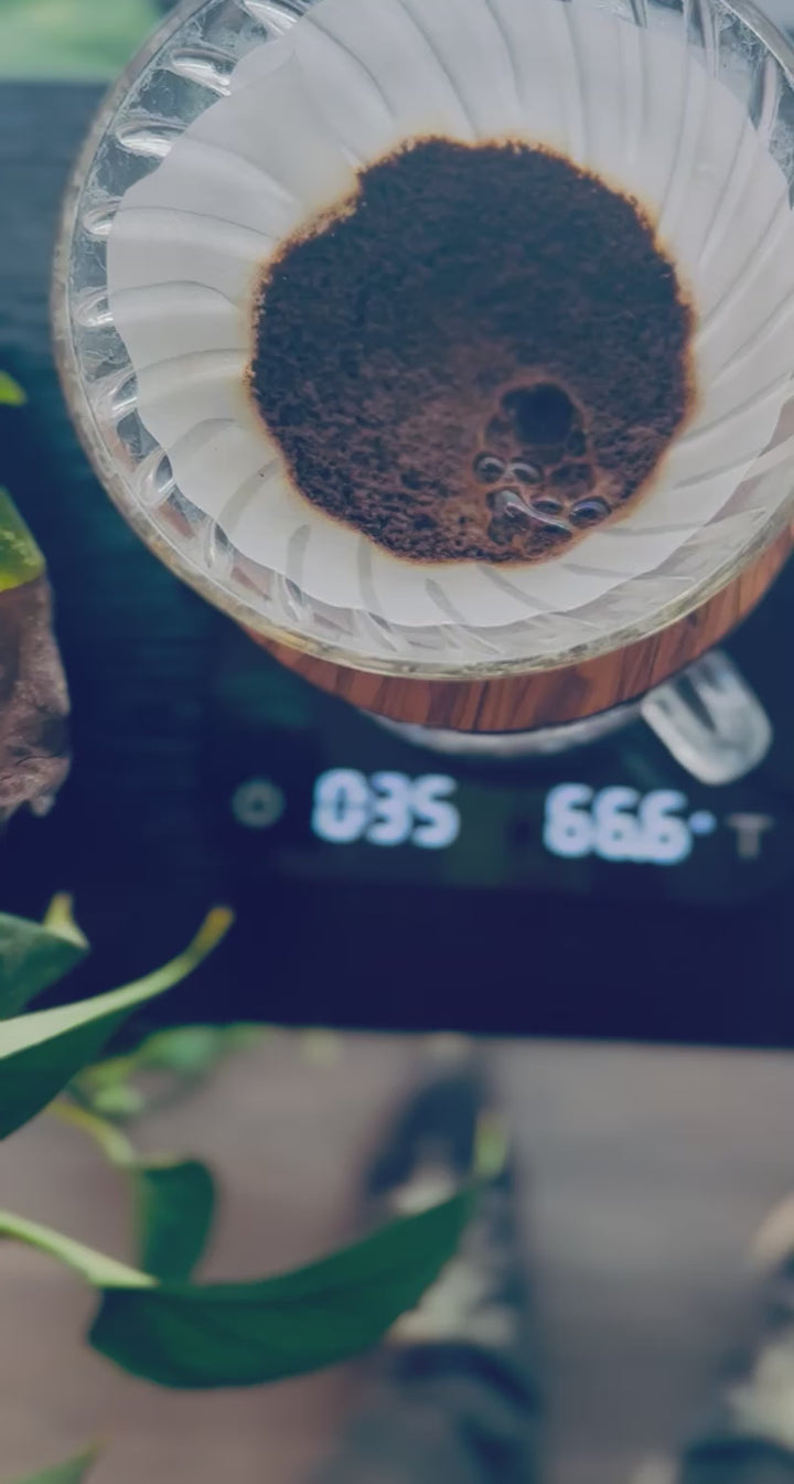 Heady Cup Coffee Roasters overhead video shot of a pour-over brewing technique.
