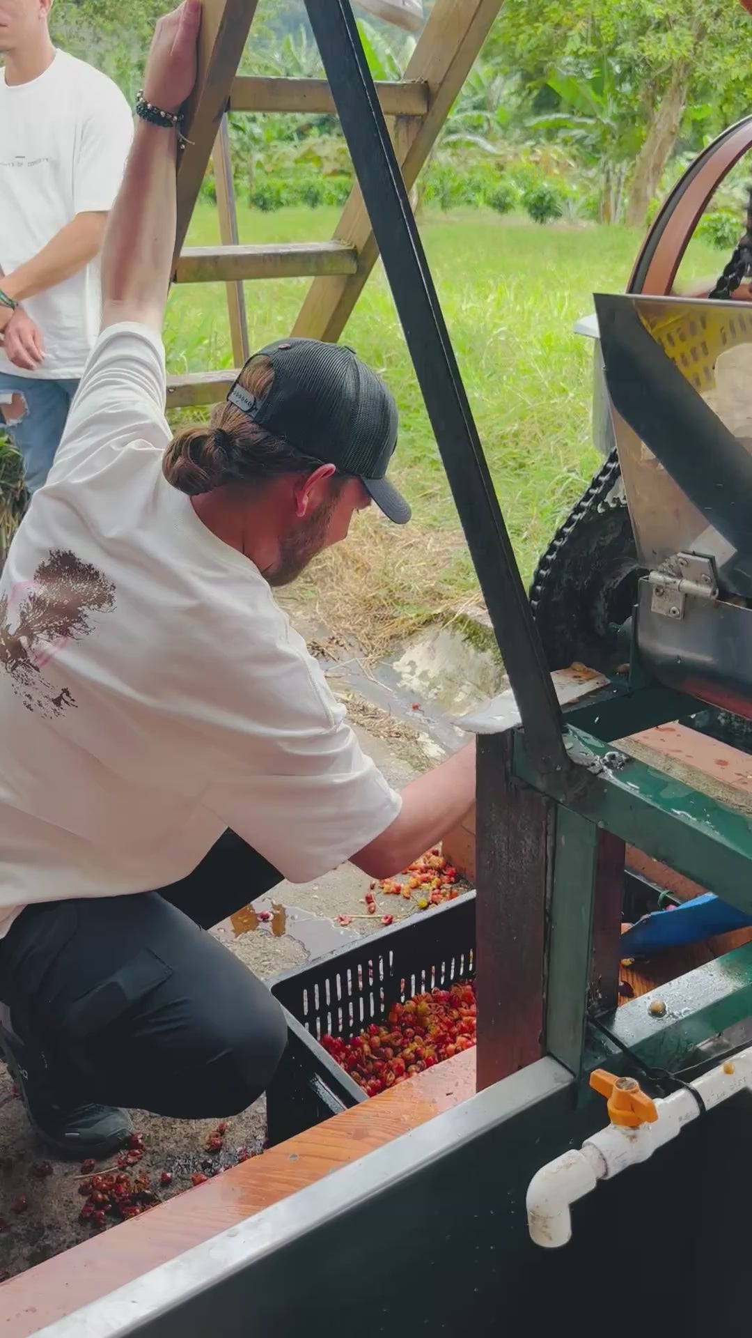 Sebastian Ramirez discarding cascara into a bin. 