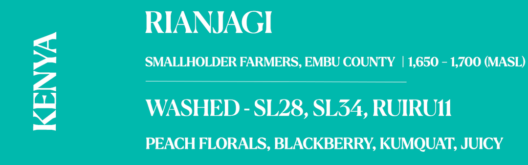 Kenya Washed Rianjagi