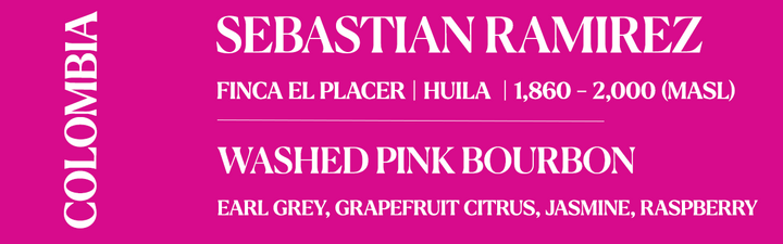 Sebastian Ramirez Washed Pink Bourbon