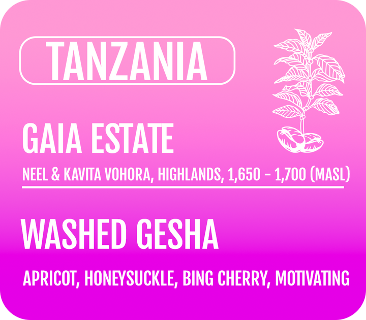 Tanzania - Washed Gesha