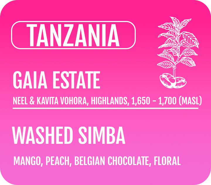 Tanzania - Washed Simba