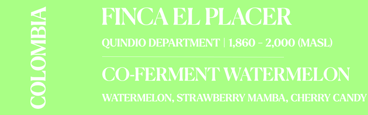 A light green graphic with white text reading 'FINCA EL PLACER', 'QUINDIO DEPARTMENT | 1,860 - 2,000 (MASL)', and 'CO-FERMENT WATERMELON' with 'WATERMELON, STRAWBERRY MAMBA, CHERRY CANDY' below. A vertical 'COLOMBIA' label appears on the left side.